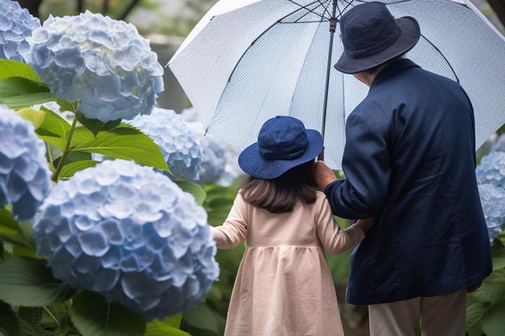 紫陽花の前にたたずむ人々