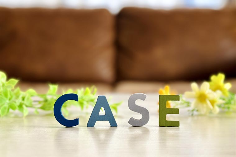 CASE