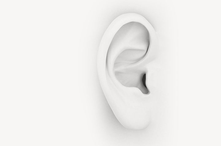 耳